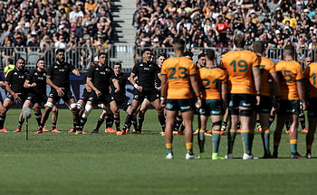 Rugby League, Sport news, New Zealand Herald HD wallpaper