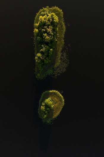 Nature, Water, Trees, View From Above, Island HD phone wallpaper