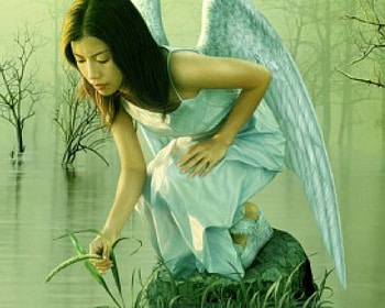angel, white, lake, flower HD wallpaper