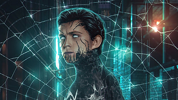 Tom As Spiderman Black Suit Superheroes HD wallpaper