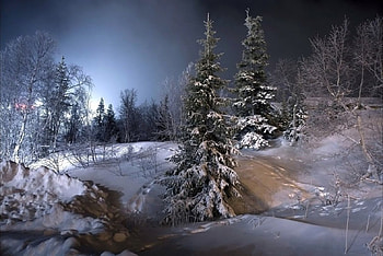 winter scene, winter, nature, , scene HD wallpaper