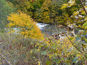 Autumn..Matlock..1, trees, river, colours, beauty HD wallpaper