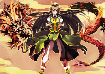 meiling's dragon fist style, dragon, green dress, pretty girl, meiling, long hair HD wallpaper