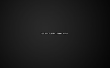 Top : Amazing Stupid Collection HD wallpaper