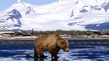 Alaska travels, , Stunning backgrounds, Visual delight HD wallpaper