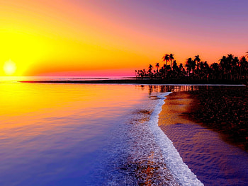 Waterfront in Sunset, trees, sky, nature, water, sunset, beach HD wallpaper