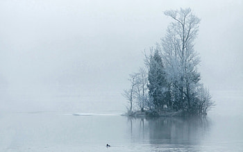 Nature, Trees, Fog, Morning, Frost, Hoarfrost, Island, Haze, Islet HD wallpaper