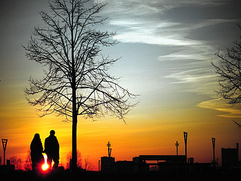 Sunset, Love, Wood, Couple, Pair, Tree, Silhouettes, Stroll HD wallpaper