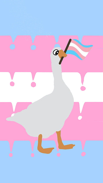 Tran duck, pride, cute HD phone wallpaper