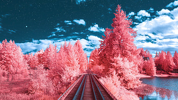 World Of Imagination, artist, artwork, digital-art HD wallpaper