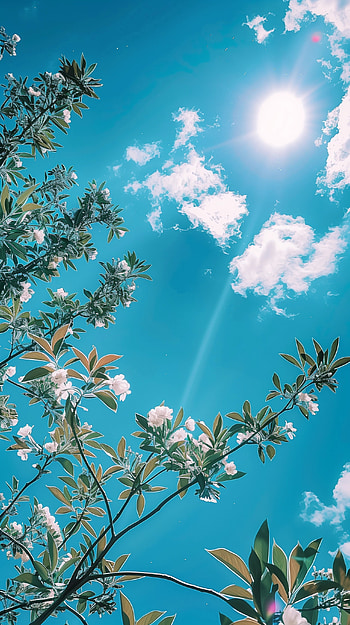 Blue Sky Floral Bliss , blue, flower HD phone wallpaper