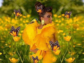Sunny Yellow, orange, colorful, black, vibrant, grass, girl, butterflies, vivid, green, yellow, bright, bold, flowers HD wallpaper