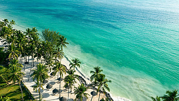 Best beaches, Zanzibar snorkelling, Tranquil swimming, Pure relaxation HD wallpaper