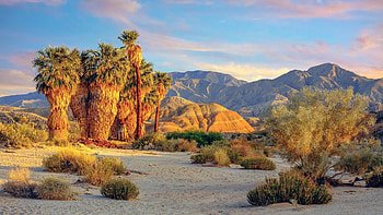 USA - California - Anza-Borrego Desert State Park, nature, desert HD wallpaper