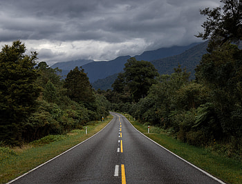 Nature, Bush, Road, Markup HD wallpaper