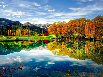 Lake Reflection, reflection, clouds, trees, autumn, nature, lake HD wallpaper