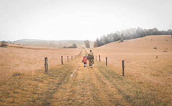 People, Nature, Road, Field, Path, Stroll HD wallpaper