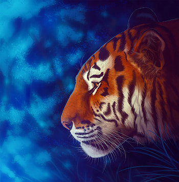 Art, Predator, Big Cat, Tiger HD phone wallpaper
