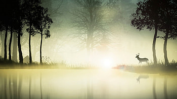 Spring dawn, art, deer, foggy, digital art, spring, , landscape, misty, dawn, mist, fog HD wallpaper