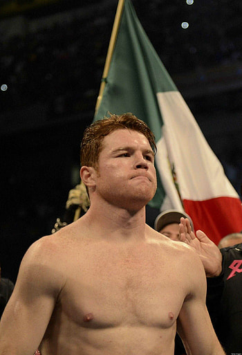 Canelo , Awesome , Ultimate collection HD phone wallpaper