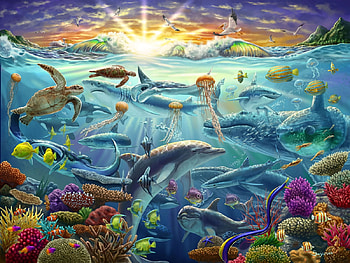 Sunset, summer, sea, pesti, dolphin, water, ocean, vara, fish HD wallpaper