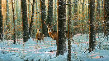 Morning Monarch, snow, deer, artwork, winter, painting, trees, forest HD wallpaper