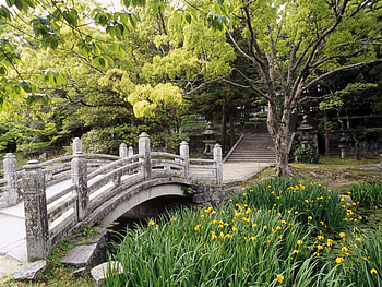 Landscape, Bridges HD wallpaper