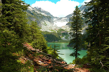 Washington State, Forest backgrounds, Travels HD wallpaper