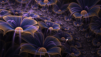 Abstract Flower Fractal Digital Art, abstract, digital-art, flower, deviantart HD wallpaper