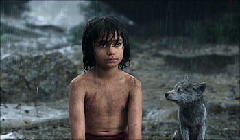 The Jungle Book (Movie), Movie in high resolution, Striking ry, Visual treat HD wallpaper