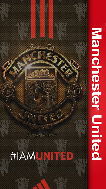 Sports, fif, الشياطين الحمر, England, Manchester United, champions league HD phone wallpaper