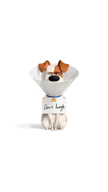 The Secret Life of Pets 2 (2022) movie HD phone wallpaper