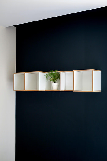 Interior, Plant, Miscellanea, Miscellaneous, Decor, Indoor Plant, Houseplant, Shelf HD phone wallpaper