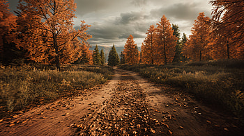 Serene Wilderness: Captivating Ultra, wilderness, path, Autumn, forest, leaf HD wallpaper