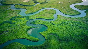Africa's environmental solutions, Sustainable development, Conservation efforts, Infrastructure improvement HD wallpaper