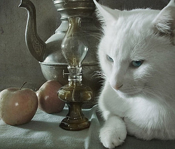 Sketch, cats, animals HD wallpaper