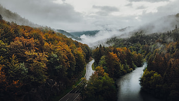 Forest, Nature, Autumn, Clouds, Road, Fog HD wallpaper