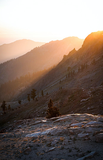 Nature, Trees, Stones, Sun, Hills, Slope HD phone wallpaper