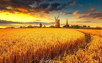 Cornfield and Windmill, clouds, windmill, cereals, field HD wallpaper