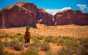 Arizona desert, PC and mobile, , Android HD wallpaper