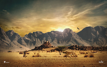 Backgrounds for your Computer World Wildlife Fund HD wallpaper