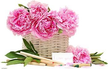 Beautiful drawing flowers peonies HD wallpaper
