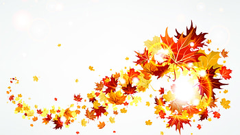 Background, Autumn, Leaves HD wallpaper