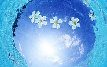 Background HD wallpaper