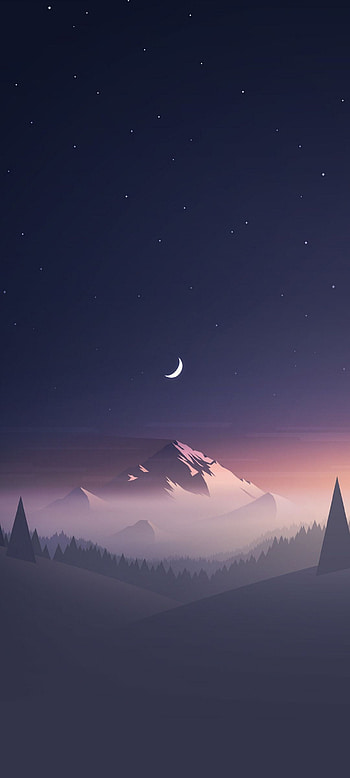 1080x2400 Anime HD phone wallpaper