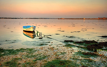 Nature, Shore, Bank, Boat, Mud, Dirt, Rope, Slime, Tina HD wallpaper