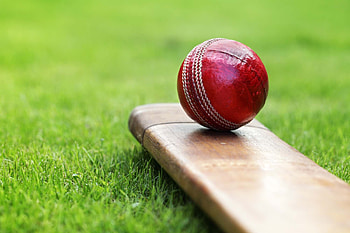 Cheshire Cricket Board, Cricket contact, Local cricket, Cricket association HD wallpaper