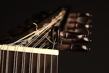 Lute music, David, Historical instrument HD wallpaper