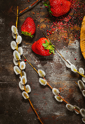Food, Strawberry, Surface, Branch, Berry, Verba, Pussy Willow HD phone wallpaper