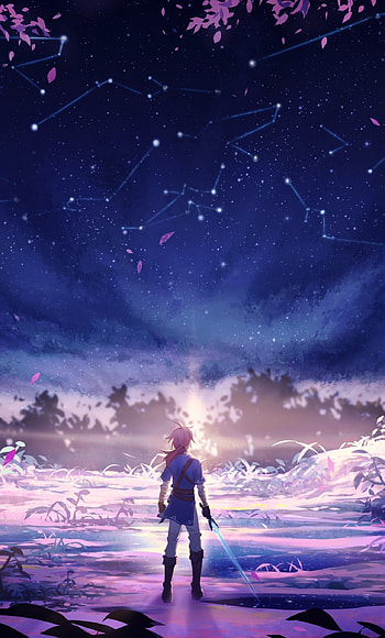 Legend of Zelda, Breath of the Wild, Console Game Art, 6 Plus HD phone wallpaper